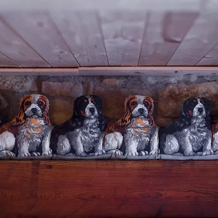 Casale Viozzi - Con Piscina Nelle Marche 펜션 Montefalcone Appennino