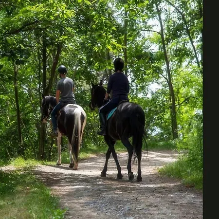Casale Viozzi - Con Piscina Nelle Marche * Montefalcone Appennino